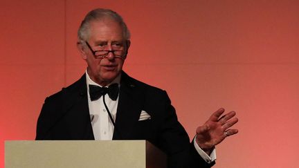 Le prince Charles, lors d'un évènement au British Museum, à Londres, mercredi 9 février 2022.&nbsp; (AFP)