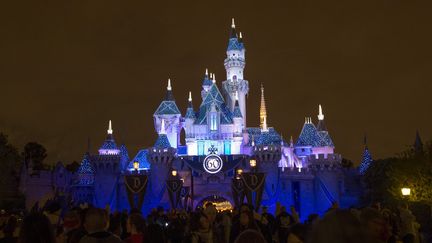 &nbsp; (Le château de Disneyland en Californie, aux Etats-Unis ©Reuters/Mario Anzuoni)