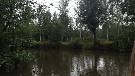 Le Marais poitevin, l’une des&nbsp;zones humides les plus importantes de France, qui doit se défendre contre, d’un côté, la sécheresse et, de l’autre, la submersion par la mer.&nbsp; (OLIVIER EMOND / RADIO FRANCE)