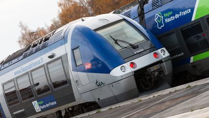 Un TER en gare d'Abbeville (Somme), le 30 novembre 2019. (AMAURY CORNU / HANS LUCAS / AFP)