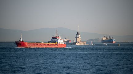 Des cargos naviguent dans le détroit du Bosphore, près d'Istanbul (Turquie), le 28 juin 2023. (DIEGO CUPOLO / NURPHOTO / AFP)