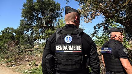 Des gendarmes après l'abattage d'une soixantaine d'arbres sur l'autoroute A89 (REMY GABALDA / MAXPPP)