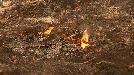 Incendies : pourquoi les feux reprennent-ils en Gironde et en Aveyron ?