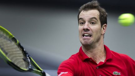 Richard Gasquet  (KOEN SUYK / ANP MAG)