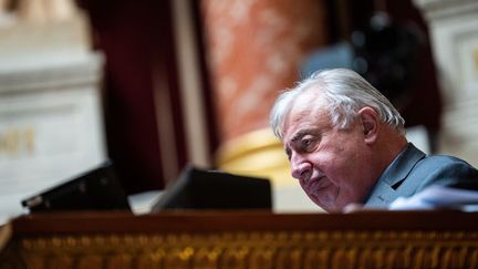 Le président du Sénat, Gérard Larcher, lors des questions au gouvernement, le 5 avril 2023 à Paris. (XOSE BOUZAS / HANS LUCAS / AFP)