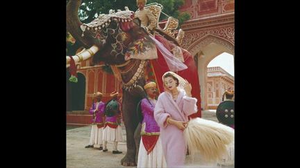 Après la 2nde Guerre Mondiale, la découverte de l’Inde et de ses couleurs explosives a été un choc. Norman Parkinson, montre les vêtements mais aussi le pays : l’éléphant richement paré, incarnation de Ganesh avec son cornac, les soldats aux portes de Jaipur et le manteau en mohair rose de Jaeger qui - de la tenue des soldats à la teinte pétale du manteau du mannequin - fait le lien entre l’Orient et l’Occident
 (Norman Parkinson)