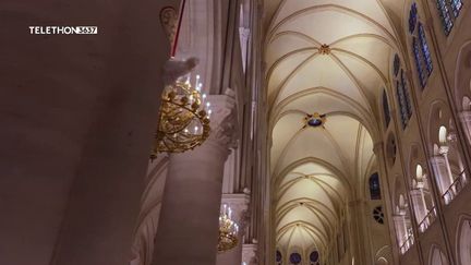 Réouverture de Notre-Dame de Paris : aperçu de la splendeur de la cathédrale restaurée