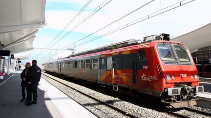 Un TER en gare de Perpignan (Pyrénées-Orientales), le 5 février 2013.&nbsp; (MAXPPP)