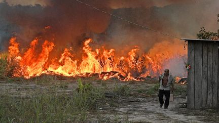 Un paysan brésilien met le feu à une parcelle de forêt autour de ses champs, le 15 août 2020 à Novo Progresso (Brésil). (CARL DE SOUZA / AFP)