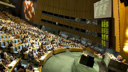 L'Assembl&eacute;e g&eacute;n&eacute;rale de l'ONU, le 3 ao&ucirc;t 2012. (DON EMMERT / AFP)