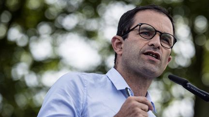 L'ex-ministre de l'Education, Beno&icirc;t Hamon, le 24 ao&ucirc;t 2014 &agrave; la f&ecirc;te de la Rose de Frangy-en-Bresse (Sa&ocirc;ne-et-Loire). (JEFF PACHOUD / AFP)