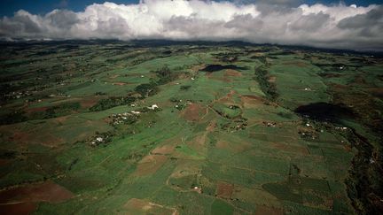 Champs de canne à sucre. Vue aérienne. Île de La Réunion&nbsp; (DEA / C. SAPPA / DE AGOSTINI EDITORIAL / GETTY IMAGES)