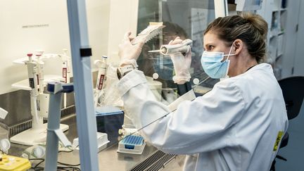 Une chercheuse de l'université d'Aalborg (Danemark) séquence des échantillons pour identifier d'éventuels cas du variant identifié au Royaume-Uni, le 15 janvier 2021. (HENNING BAGGER / RITZAU SCANPIX / AFP)