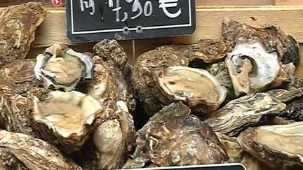 Bassin d’Arcachon : les coquillages interdits à la consommation