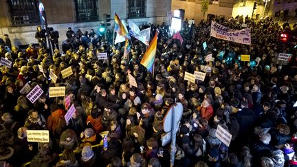 Manifestation contre la loi sur l'avortement &agrave; Madrid (Espagne) le 20 d&eacute;cembre 2013.&nbsp; (  MAXPPP)