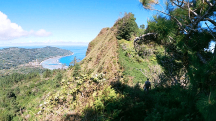 Le mont Manureva à Rurutu, qui culmine à 385 mètres. (Anonyme)