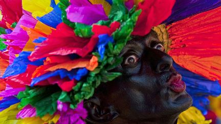 Colombie, Barranquilla, le 18 f&eacute;vrier 2012. (LUIS ACOSTA / AFP)