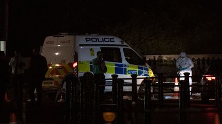 Des policiers devant le palais royal de Buckingham, à Londres (Royaume-Uni), où un homme a légèrement blessé trois policiers vendredi 25 août.&nbsp; (CHRIS J RATCLIFFE / AFP)