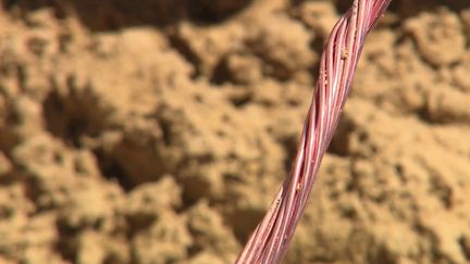 Vols&nbsp;: les câbles sont de plus en plus pris pour cible par les malfaiteurs&nbsp; (France 3)