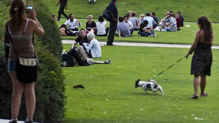 Les rats des Jardins du Louvre s'approchent pr&egrave;s des badauds, comme ici, mercredi 23 juillet 2014. (FRANCOLON XAVIER / SIPA)