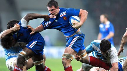 Louis Picamoles, encore brillant, charge les Argentins