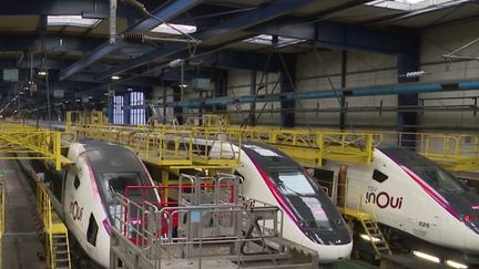 2023 a été une année record pour la SNCF : le TGV a transporté 122 millions de voyageurs, un chiffre jamais atteint jusque-là. L’engouement existe aussi pour les TER mais les trains manquent face à la demande en hausse. (franceinfo)