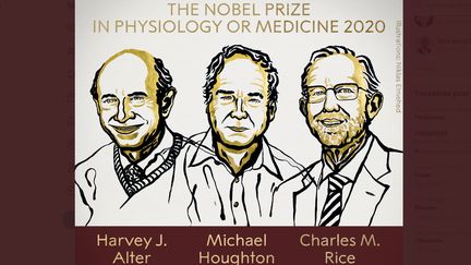 Dessin du&nbsp;Britannique Michael Houghton et&nbsp;des Américains Harvey Alter et Charles Rice, prix Nobel de médecine 2020. (COMITE NOBEL / FRANCEINFO)