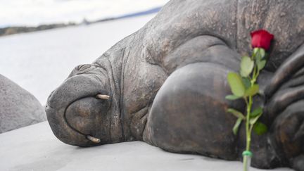 Une rose contre la sculpture de Freya, morse tuée dans le port d'Oslo (Norvège). (ANNIKA BYRDE / NTB via AFP)