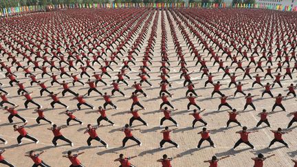 Cours collectif de kung-fu &agrave; Dengfeng (Chine), le 9 juin 2012. (QUIRKY CHINA NEWS / REX / SIPA)