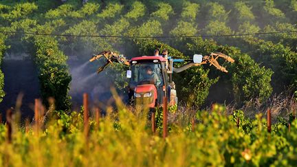 Un épandage de produit agrochimique sur une exploitation viticole près de Carcassonne, le 6 août 2020.&nbsp; (GEORGES GOBET / AFP)