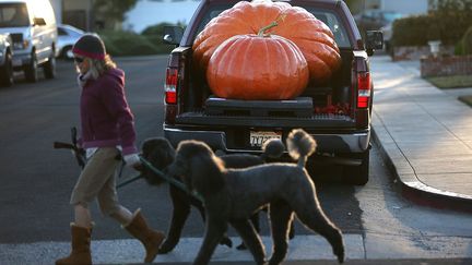 Des citrouilles g&eacute;antes sont transport&eacute;es &agrave; l'arri&egrave;re d'un pick-up &agrave; l'occasion du c&eacute;l&egrave;bre festival d&eacute;di&eacute; &agrave; ces Cucurbitaceae &agrave; Half Moob Bay (Californie, Etats-Unis), le 14 octobre 2013. (JUSTIN SULLIVAN / GETTY  IMAGES)