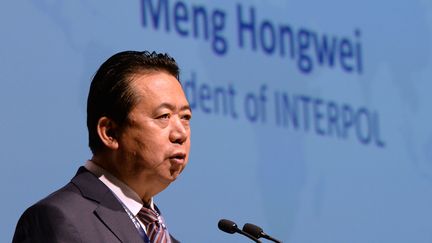 Meng Hongwei à Singapour, le 4 juillet 2017.&nbsp;&nbsp; (ROSLAN RAHMAN / AFP)