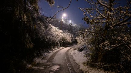 Des arbres sous la neige, le 15 novembre 2019 à Givors (Rhône). (JEAN-PHILIPPE KSIAZEK / AFP)