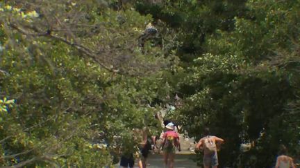 Comment concilier tourisme et environnement ? La question est posée dans le parc naturel du Mont Ventoux , dans la Drôme. Les gorges de Toulourenc, un site naturel exceptionnel aujourd'hui victime de son succès. Ce lieu est surfréquenté l'été par de nombreux randonneurs à la recherche de fraîcheur. Certains accès à la rivière ont dû être fermés pour protéger la biodiversité. (France 3)