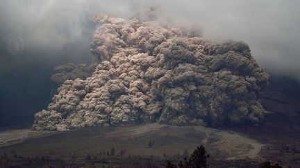 Les cendres du mont Sinabung lors d'une &eacute;ruption sur lile de Sumatra (Indon&eacute;sie), le 7 janvier 2014. (SUTANTA ADITYA / AFP)