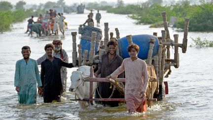 Des habitants qui marchent avec leurs affaires, dans les rues inondées de&nbsp;Sohbatpur, dans la région de Balochistan (Pakistan). (FIDA HUSSAIN / AFP)