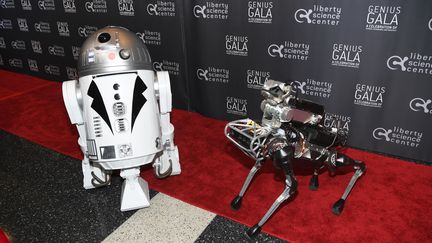 SpotMini, le robot-chien de Boston Dynamics, pose aux côtés de R2D2, le 5 mai 2017 au genius Gala 6.0 au Liberty Science Center de Jersey aux États-Unis. (DAVE KOTINSKY / GETTY IMAGES NORTH AMERICA)