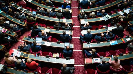 Le Sénat lors de la séance publique des questions d'actualité au gouvernement au Palais du Luxembourg, le 20 novembre 2024, à Paris. (XOSE BOUZAS / HANS LUCAS / AFP)