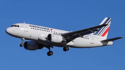 Un avion de la compagnie Air France, le 5 février 2019,&nbsp;avant son atterrissage à&nbsp;Londres.&nbsp; (NICOLAS ECONOMOU / AFP)