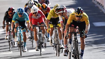 Quatrième étape du Tour de France 2020. (ANNE-CHRISTINE POUJOULAT / POOL / AFP POOL)