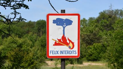 Un panneau indiquant l'interdiction des feux dans une forêt près de Montpellier (Hérault), le 26 mai 2019. (PASCAL GUYOT / AFP)