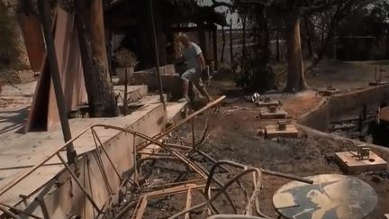 VIDEO. Canicule : après les incendies dans le Gard, le désarroi des sinistrés