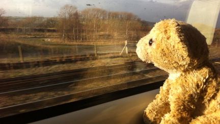 Photo de l'ours en peluche "Roar", retrouv&eacute; dans un train par Lauren Bishop Vranch, vendredi 13 d&eacute;cembre 2013.&nbsp; (LAUREN BISHOP VRANCH / TWITTER.COM)