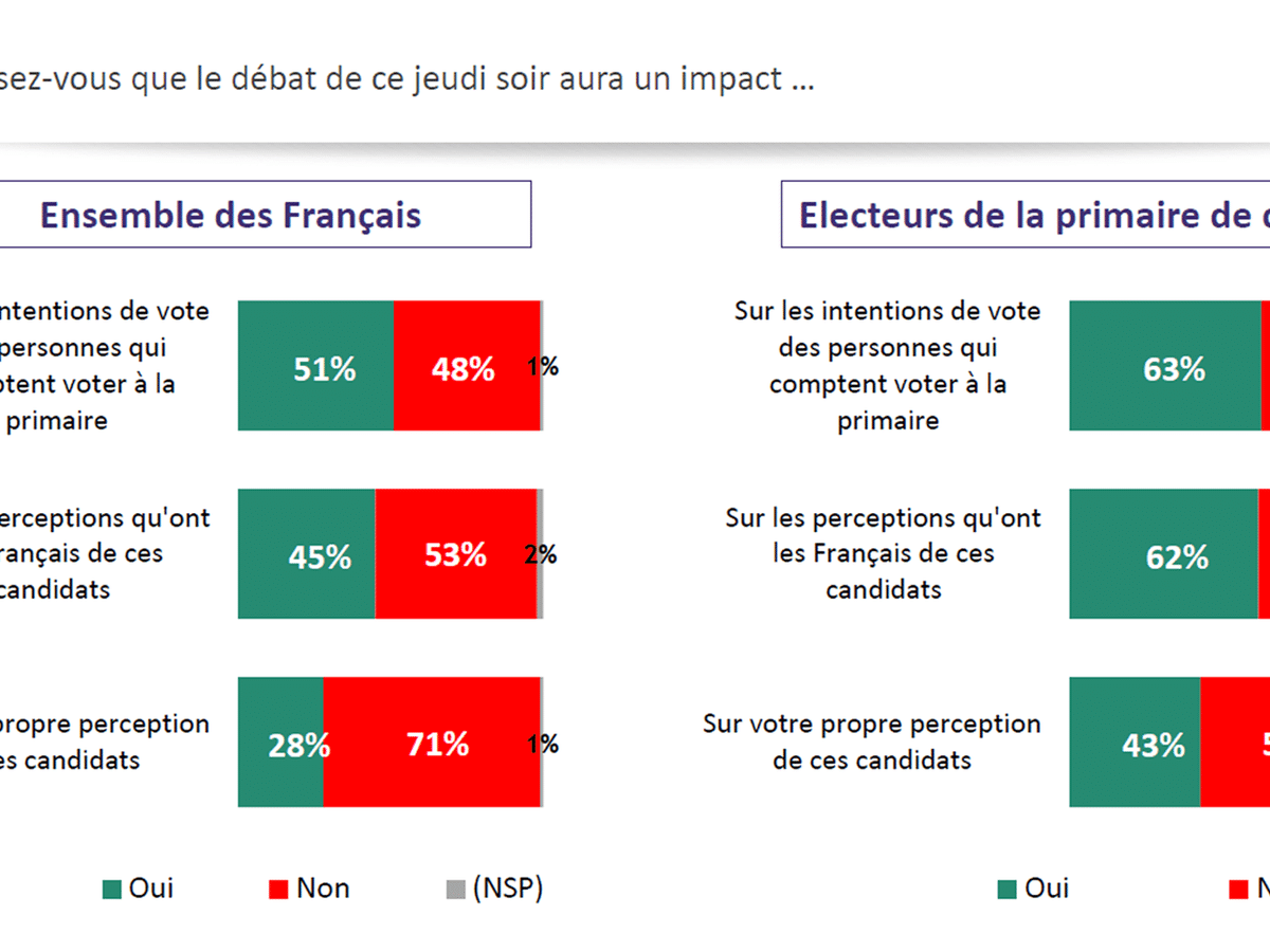 La primaire des francais