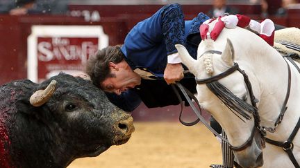 Le&nbsp;rejoneador espagnol&nbsp;Pablo Hermoso de Mendoza lors d'une corrida &agrave; Bogota (Colombie), le 22 janvier 2012. (EPA / MAXPPP)