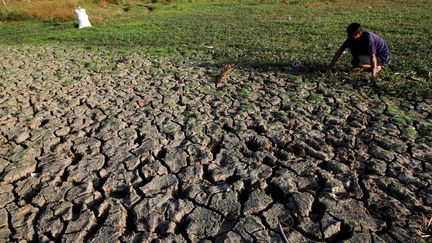 Un agriculteur fait face à l'aridité de ses terres à Aceh en Indonésie, le 22 juillet 2017. Une sécheresse a empêché le riz de pousser&nbsp;dans cette région. (JUNAIDI HANAFIAH / ANADOLU AGENCY)