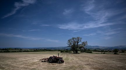 Une exploitation agricole à Chabanière (Rhône), mercredi 18 mai 2022. (JEAN-PHILIPPE KSIAZEK / AFP)