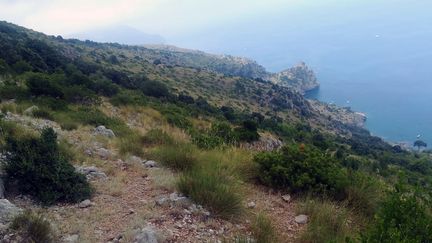 Le secteur où étaient concentrées les recherches&nbsp;de Simon Gautier, le 16 août 2019, au sud de Naples, en Italie. (SOCCORSO ALPINO E SPELEOLOGICO / AFP)