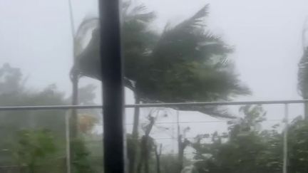 La Réunion avait été placée en alerte violette, un niveau inédit, avec le passage du cyclone Belal, lundi 15 janvier. Cette alerte a été rétrogradée en fin de matinée. (France 2)