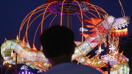 Mais attention, c'est &eacute;galement une ann&eacute;e o&ugrave; il faudra redouter les incendies ! (LAI SENG SIN / AP / SIPA)